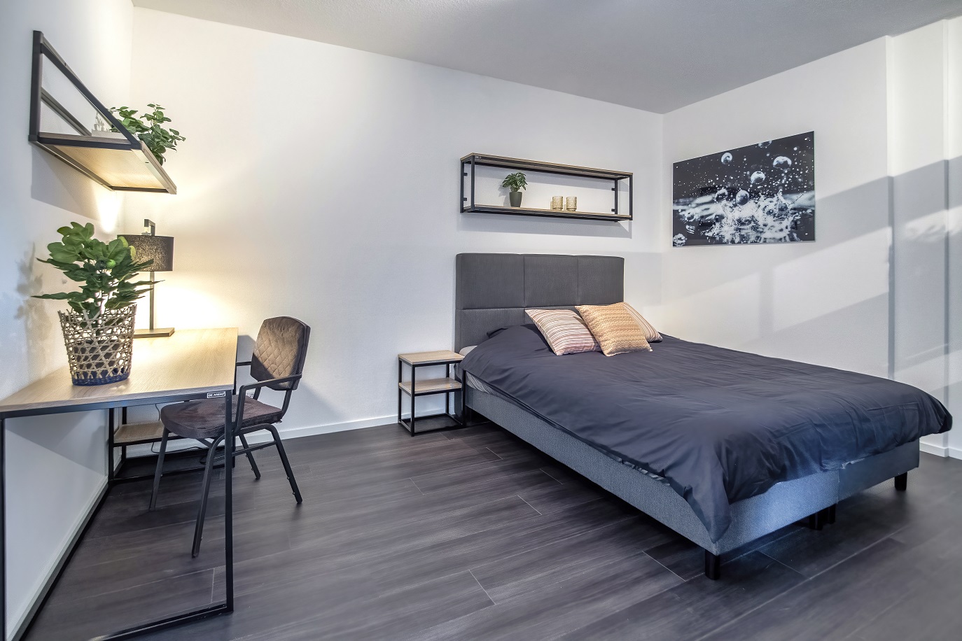 housePhoto